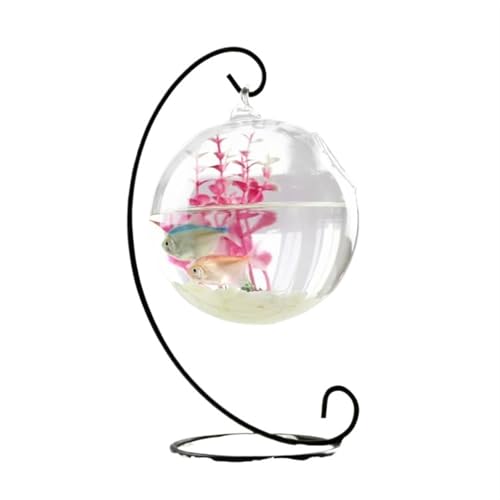 Mini Aquarium Hängende transparente Kampffischaquarium Desktop kleines Aquarium kleines Goldfischaquariumglas Kleines Aquarium(Schwarz,L) von Xumh2024-3