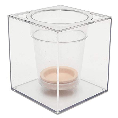 Mini Aquarium Kreativer transparenter Blumentopf Automatische Wasserabsorptionstopf Automatische Bewässerung Hydroponischer Kunststoff-quadratischer Fischtank Kleines Aquarium von Xumh2024-3