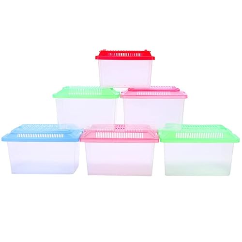 Mini Aquarium Mini-Fischtank Tragbare Haustierkiste Klettern Zuchtkasten Zuchtkasten Reptil Square Box Hamster Transportzüchtung Schildkrötenkasten Kleines Aquarium(18X11X11CM) von Xumh2024-3