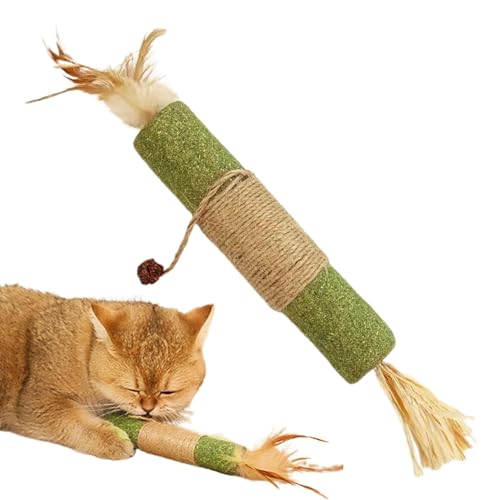 Silvervine Sticks für Katzen,Katzenminze Silvervine Sticks,30 cm lange Kaustangen für Katzen | Katzen-Leckerli-Spielzeug, Katzen-Beißspielzeug, Katzen-Zahnpflege für Katzen und Kätzchen im Innenbereic von Xvilmaun