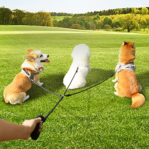 Drei Hundeleine, bequeme Doppel-Hundeleine mit reflektierenden, um 360 Grad drehbar, kein Verheddern, 3 Hunde-Trainingsleine, für große, mittelgroße und kleine Hunde (schwarz, drei Leinen) von Y-ANNJYA