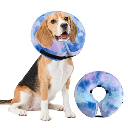 Y-blue Hundekegel, aufblasbares Hundehalsband, Erholung, E-Halsband, Alternative, Donut-Halsband nach Operationen für Hunde und Katzen (Violettblau, M +) von Y-blue