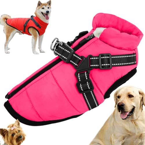 Sport – Wasserdichte Winterjacke mit integriertem Geschirr, Hundejacke mit Geschirr, kleiner Hundemantel mit integriertem Geschirr, reflektierende und verstellbare, bequeme Haustierweste ( Color : Dar von YAERLE