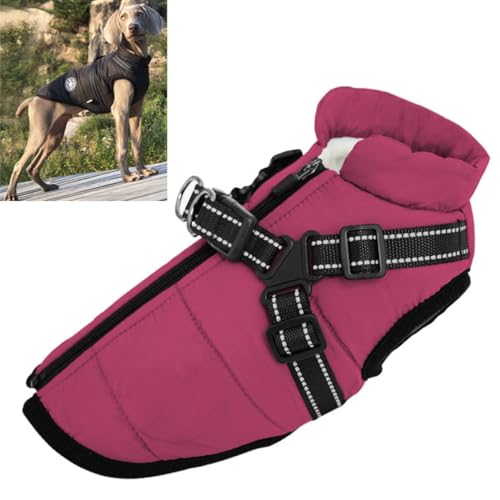 Sport – Wasserdichte Winterjacke mit integriertem Geschirr, wasserdichte Winter-Hundejacke mit integriertem Geschirr, wasserdichte, winddichte warme Wintermäntel for Hunde, verstellbare Haustierweste von YAERLE