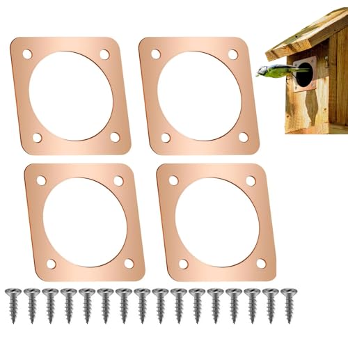 YAFIYGI Bluebird House Raubtierschutz 4 Stück Gold Metall Vogelhaus Guard Öffnung Vogelhaus Lochschutz Schutz Schutz für Osten Bluebird Box Guards für Häuser Vogelhaus Blau Noel (3,8 cm Öffnung) von YAFIYGI