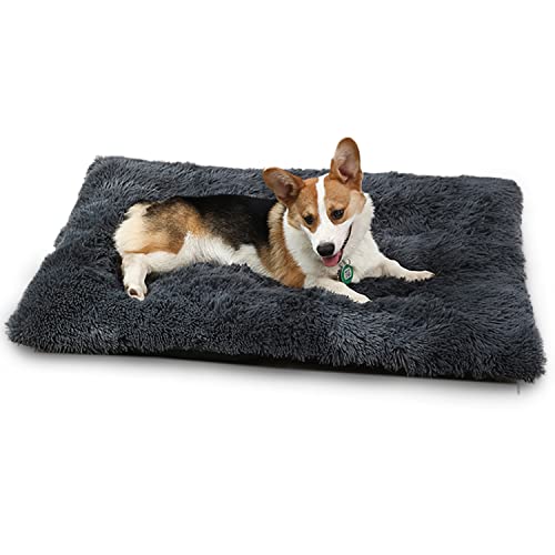 YAGE Hundebett Waschbares Katzenbett, flauschig, für kleine und mittelgroße Hunde, orthopädisches Hundebett und Matratze für Hundekäfig (M-65 x 50 x 8 cm, Dunkelgrau) von YAGE