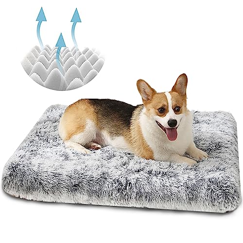 YAGE Hundebett waschbar – orthopädisches Hundebett und Matratzenmatte für Hundekäfig, langes Plüsch-Hundebett, ultraweiches Bett, Flanell, beruhigendes Hundebett für Angsthunde (M-75 x 50 x 6 cm, von YAGE