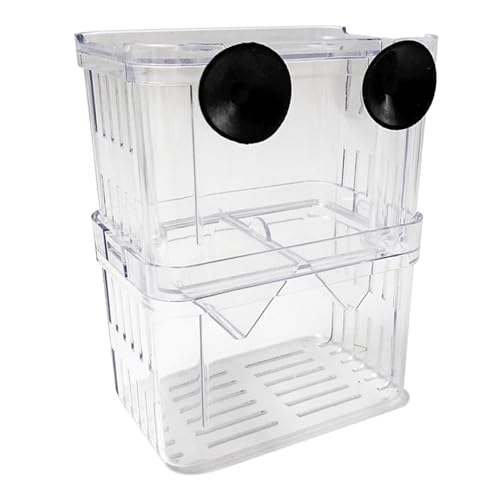 YANFJHV Fischzuchtbox Fischisolationsbox mit Saugnäpfen Aquarium Akklimatisierung für Babyfische Clownfische und Ufermatten (Clear, L) von YANFJHV