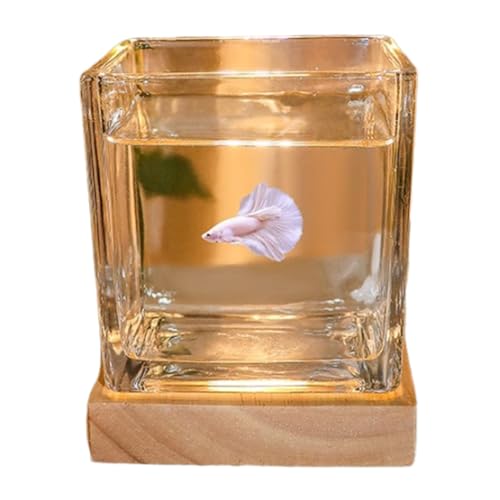 10x10x10cm,Aquarium Becken, Quadratisches Aquarium Aus Extra Klarem Glas Mit Leuchtendem USB-Sockel, Für Bettas, Guppys, Garnelen, Goldfische von YANGMIAN