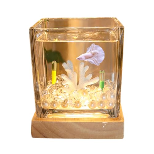 A,Aquarium Becken, Quadratisches Glas-Aquarium Mit USB-Leuchtsockel Und Landschaftsgestaltung, Für Bettas, Guppys, Garnelen, Goldfische von YANGMIAN