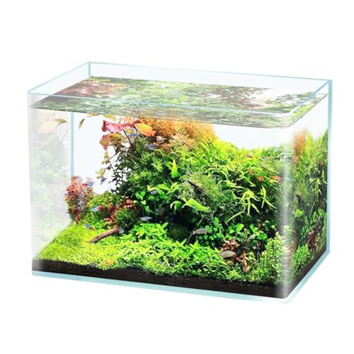 Aquarium-Starter, Aquarium Aus Verdicktem Glas Mit Hoher Lichtdurchlässigkeit, Für Kampffische, Guppys, Garnelen, Goldfische,25x16x18cm von YANGMIAN