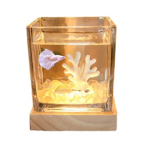 C,Aquarium Becken, Quadratisches Glas-Aquarium Mit USB-Leuchtsockel Und Landschaftsgestaltung, Für Bettas, Guppys, Garnelen, Goldfische von YANGMIAN