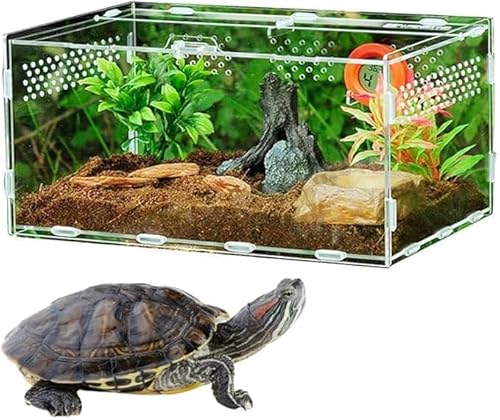 YANGYANGDA Acryl Terrarium Acryl Reptilien Futterbox Rundum 360 Grad Transparent Träger Für Haustier Spinnen Skorpione Gehörnte Frösche von YANGYANGDA