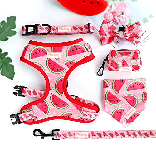 Nylon-Hundehalsbandgeschirr, Leine, Kotbeutel, Bandana-Set, Bedruckte Haustierhalsbänder mit Fliege für kleine, mittelgroße Hunde, Haustiere, Weste, Führstrick von YANYUESHOP