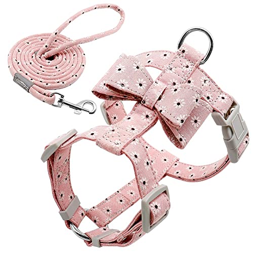 Verstellbare Nylon-Hundegeschirr-Leine-Set für Haustiere, Welpen, Bowknot-Geschirr, Weste, Laufleine für kleine, mittelgroße Hunde, Chihuahua von YANYUESHOP