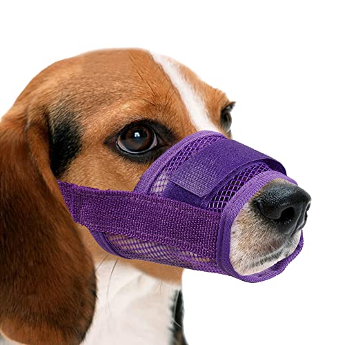 YAODHAOD Hunde Maulkorb,Nylon-Mesh, atmungsaktiv und bequem,schnell sitzende Hundemündung mit verstellbaren Trägern,erhindert Das Beißen,Kauen Und Bellen (S, Violett) von YAODHAOD