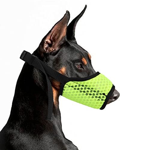 YAODHAOD Maulkorb für Hunde,mit Abgerundetem Mesh Schlaufe Atmungsaktive Hundemaulhülle，Verhindert das Fressen, Beißen und Kauen (S, grün) von YAODHAOD