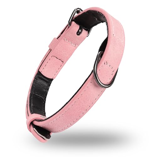 YAODHAOD Weich Gepolstertes Leder Hundehalsband für Hunde, Verstellbares Mikrofaser Hundehalsband Leder, Heavy Duty Hundehalsband für Kleine Mittel Große Hunde Welpe Katze(M, Rosa) von YAODHAOD