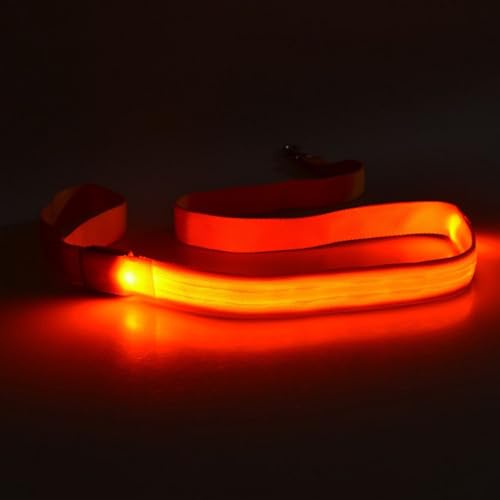 4pcs Glühen Hundeleine Wiederaufladbare wasserdichte Nylon Für Nachtsicherheit Und Komfort Für Haustier Leine Leine 4pcs Glühen Hundeleine Wiederaufladbare wasserdichte Nylon Für Nachtsicherheit Und Komfort Für Haustier Leine Leine von YAOGUI