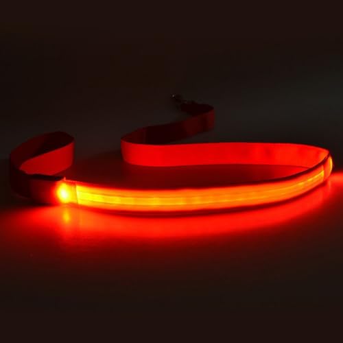4pcs Glühen Hundeleine Wiederaufladbare wasserdichte Nylon Für Nachtsicherheit Und Komfort Für Haustier Leine Leine 4pcs Glühen Hundeleine Wiederaufladbare wasserdichte Nylon Für Nachtsicherheit Und Komfort Für Haustier Leine Leine von YAOGUI