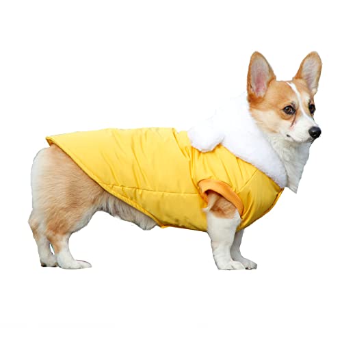 Haustier Jacke Hundebekleidung Wasserdicht Winter Warme Hundemantel Hundejacke mit Kapuze für Kleine Mittelgroße Hunde Winterjacke Gepolstert Welpen Weste Haustier Kleidung für Kaltes Wetter Gelb 3XL von YAOTT