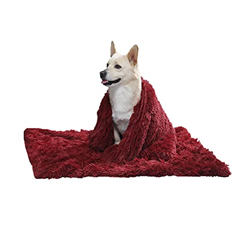 Herbst- und Winterdecken Schlafzimmertische und -stühle rutschfeste Teppiche im Badezimmer rutschfeste Badedecken maschinenwaschbare Plüschtierdecken Hundedecken Hundematten Weinrot L：100*75CM von YAOTT