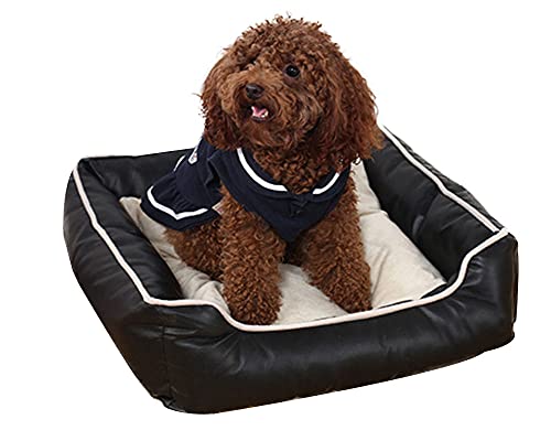 Kunstleder Haustiersofa Plüsch wasserdichtes Haustierbett Outdoor Hundebett Katzenbett flauschiges Haustierkissen sofa orthopädisches Hundebett Hundekissen Käfigunterlage Schwarz S：45*45*15CM von YAOTT