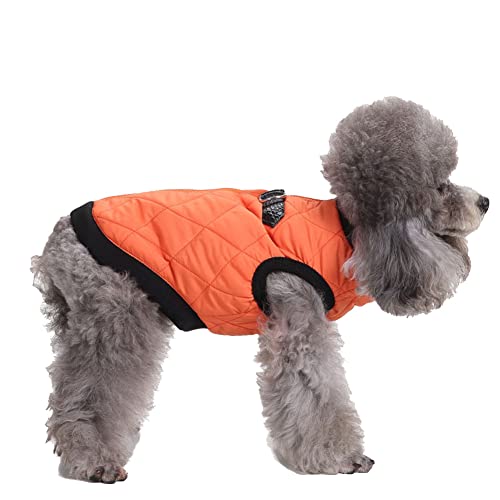 Winddichter Hundewelpe Hund Schneeanzug Wintermantel Gefütterte Jacke mit Reißverschluss für Haustiere mit Schnalle und D-Ring Warm Mantel Hundejacke Outdoor-Skating-Hundekostüm DZ127Orange XS von YAOTT