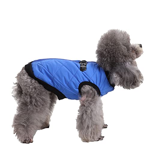 Winddichter Hundewelpe Hund Schneeanzug Wintermantel Gefütterte Jacke mit Reißverschluss für Haustiere mit Schnalle und D-Ring Warm Mantel Hundejacke Outdoor-Skating-Hundekostüm DZ128Blau XS von YAOTT