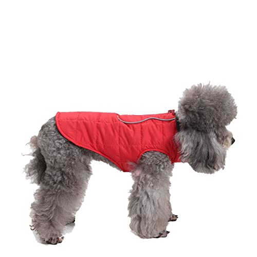 Winddichter Hundewelpe Hund Schneeanzug Wintermantel Gefütterte Jacke mit Reißverschluss für Haustiere mit Schnalle und D-Ring Warm Mantel Hundejacke Outdoor-Skating-Hundekostüm DZ133Rot L von YAOTT