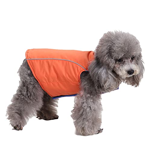 Winddichter Hundewelpe Hund Schneeanzug Wintermantel Gefütterte Jacke mit Reißverschluss für Haustiere mit Schnalle und D-Ring Warm Mantel Hundejacke Outdoor-Skating-Hundekostüm DZ136Orange XL von YAOTT