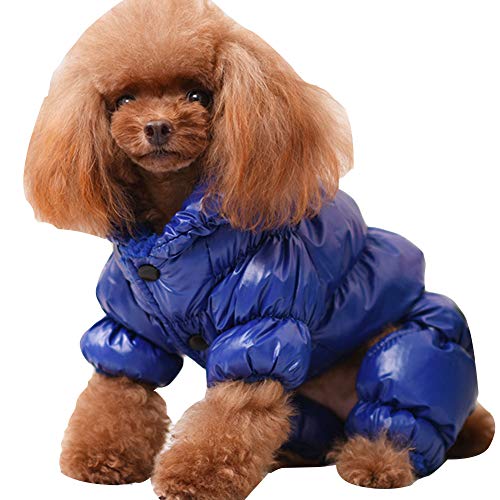 YAOTT Haustier Outwear Daunenjacke für Kleine Hunde Herbst Winter Haustier Warmen Unten Mantel Hundejacke Verdickung Winddicht und wasserdichte Königsblau XL von YAOTT