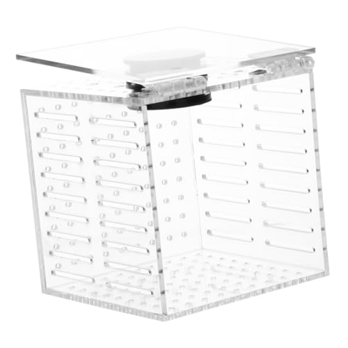 1 Stück Karton Isolationsbox Für Aquarien Futterspender Aquarium Sieb Fischnetz Fischzuchtkäfig Fisch Tank Netz Brutstätte Für Artemia Fischbrutkasten Bausatz Acryl Transparent YARNOW von YARNOW