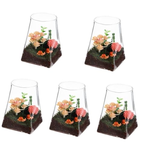 5St Ökologische Mikrolandschaftsflasche Vase Terrarium innerspace tabel sehpa pflanzfass pflanzer fensterbank pflanzgefässe Decor Ausbreitungsstation Mikro-Landschaftsflasche Glas YARNOW von YARNOW