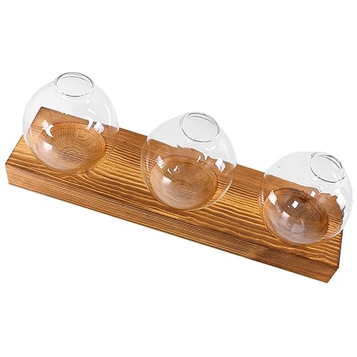 YARNOW 1 Set Glas-Holz-Hydrokultur-Pflanzenvasen Gartengeschenke Pflanzen-Terrarium-Glas-Hydrokultur-Vasen von YARNOW