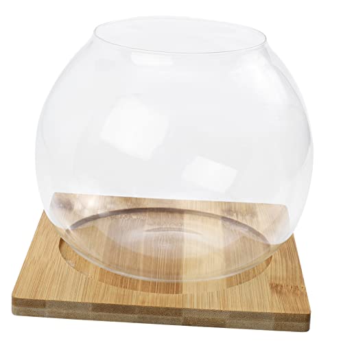 YARNOW 1 Satz Kleines Fischbecken Künstlich Pflanzen Für Aquarium Mikro-landschaftsbau-Flasche Sukkulenten-blumenbehälter Schaukasten Aus Stein Fishbowl-vasen Klare Vase Luft Glas von YARNOW