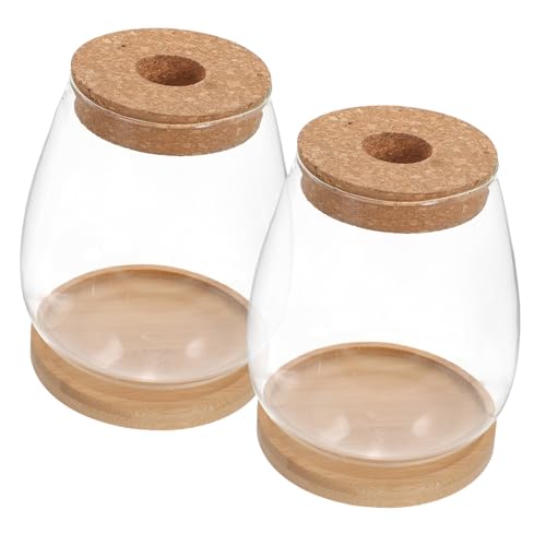 YARNOW 1 Satz Mikrolandschaftsblume innerspace büroradio die bescherung Terrarium Pflanzenhalter wischtelgeschenk Mikro-Landschaftspflanzerflasche Pflanzenterrarium mit Holzständer Glas von YARNOW