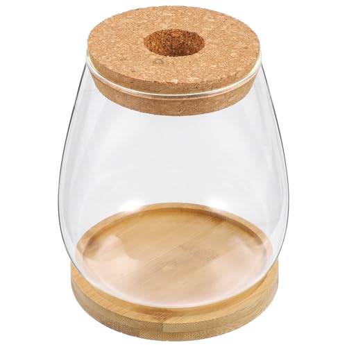 YARNOW 1 Satz bürodeko büro Dekoration kerzenlampe pflanzuntersetzter für pflanzenliebhaber Kerzengläser Luftpflanzen Vase Kerzenhalter aus Glas Pflanzenbehälter aus Glas Holz von YARNOW