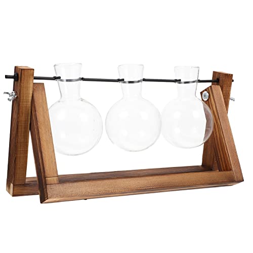 YARNOW 1 Set Hydrokultur Vase Mit Holzrahmen Vasen Töpfe Für Pflanzen Dekoration Topf Shop Versorgung Raumdekoration Kreative Holzvase Desktop Dekoration Tischdekoration Glas von YARNOW