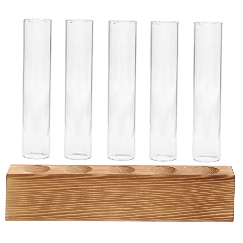 YARNOW 1 Set Hydrokulturvase Vasen Pflanzentöpfe Indoor Terrarium Dekoration Blumentopf Zimmerpflanze Reagenzgläser Zwiebelgefäße Pflanzenregal Pflanzen Reagenzglas Vase Blumenvase Glas von YARNOW