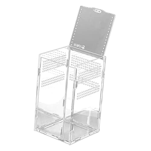 YARNOW 1 Set Transparente Futterbox Für Reptilien Terrarien Reptilien Vogelspinnen Frösche Schildkröten Schnecken Spinnen Rotaugen Keeper Mikro Terrarien Reptilien von YARNOW