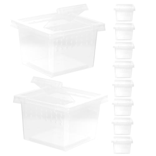 YARNOW 10St Futterbox für Haustiere Reptilienterrarium Spinnen Terrarien Frosch Terrarium Reptilienbehausungsbox Kleintierbehausungsbox Schneckenbrutkasten Spinnenbrutkasten Plastik von YARNOW