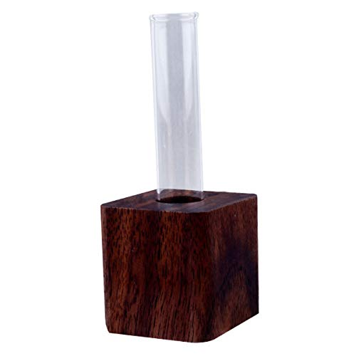 YARNOW 1stk Reagenzglas Aus Glas Vase Mit Holzsockel Reagenzglasvase Klare Vase Vermehrungsvase Luft Knospenvasen Blumenvase Dekoration Reagenzgläser Terrarienset Große Vase Röhren Buche von YARNOW