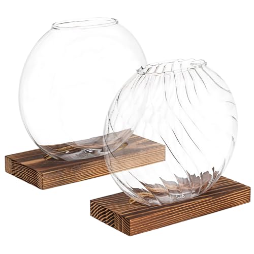 YARNOW 2 STK Kreative Vase Mehrere Pflanzenterrarium Vasen Vermehrungsgefäße Goldener Behälter Pflanzterrarien Klare Vase Blumenhalter Für Tafelaufsätze Tischvase Glas Transparent von YARNOW