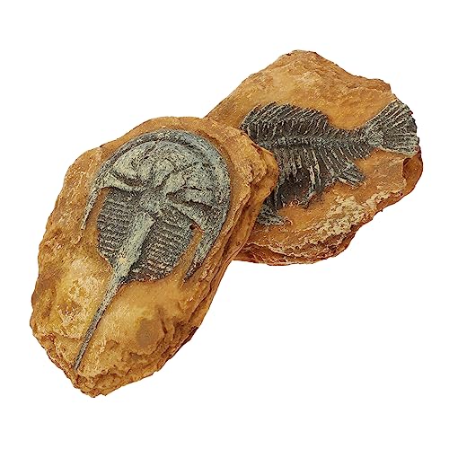 YARNOW 2Er-Box simuliertes Harzfossil Leopard Gecko Tank Zubehör Schlange Bausatz Reptile Decor Snake Box Ornaments kreative Terrariendekorationen Landschaft für kleines Haustier von YARNOW