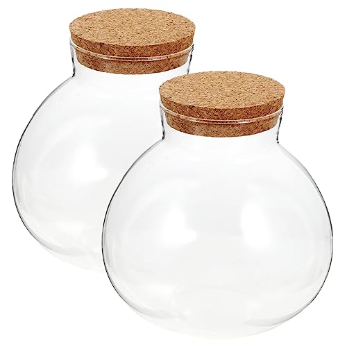 YARNOW 2st Eco-Flasche Luftpflanzen-Terrarium-kit Anzuchtgläser Einzigartig Flasche Mit Mikrolandschaft Seifenblasenschale Luftdichte Dose Einmachgläser Mini Terrarienflasche Düse Glas von YARNOW