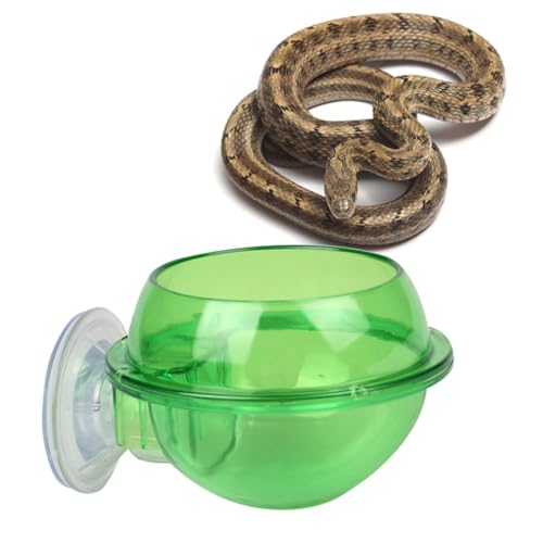 YARNOW 2st Futternapf Für Reptilien Haustier Tiere Schildkrötentiere Große Brücke Für Aquarium Futterautomat Für Heimtierbedarf Zubehör Wassernapf Für Reptilien Leopard Green von YARNOW