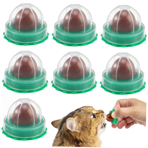 YARNOW 30 Stück Katzenbonbons Zum Lecken Leckspaß Für Katzen Katzenminze Ball Leckbare Süßigkeiten Katzenminze Lutscher Katzensnacks Katzen Leckereien Wand Katzenminze von YARNOW