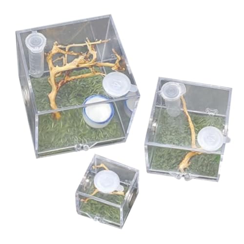 YARNOW 3St Springspinnen-Zuchtbox Futterbox insektenbox - Insektenaufzucht - Insekten Behälter Spinnenkäfig Tier Zuchtbehälter Insektenbehälter Spinnen-Terrarium Reptilienhalter Acryl von YARNOW