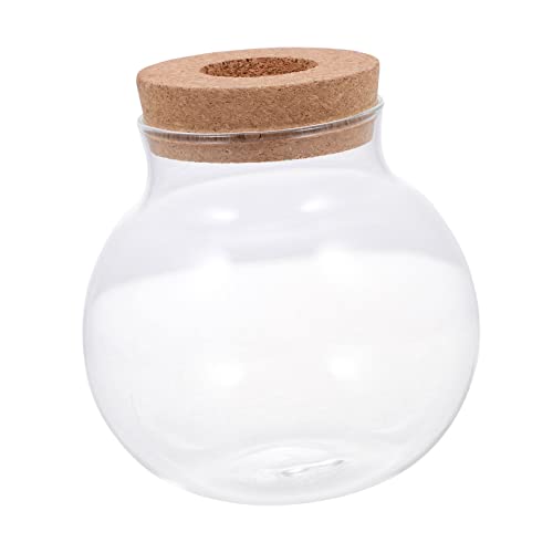 YARNOW 4 Stück Aquarium Bubble-Bowl-Terrarium Klare Ökologische Flasche Modernes Pflanzenterrarium Pflanzenvermehrungsstation Pflanzendisplay Herzstück Terrarium-kit Glas Blumen Halterung von YARNOW